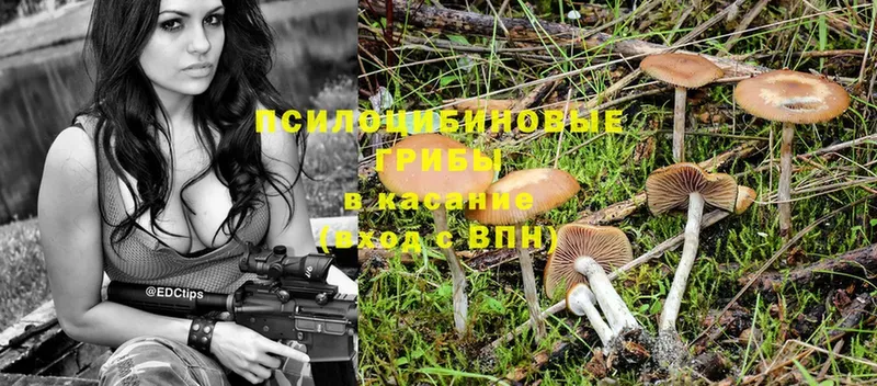 даркнет сайт  Нижнеудинск  Псилоцибиновые грибы MAGIC MUSHROOMS 